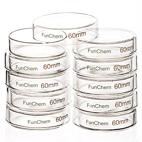 Db11 Funchem Glass Petri Dishes, Autoclavable Glass Cell Culture Dishes Lab Dishes With Clear Lid, 60X15 Mm, Pack Of 10, 60 X 15 Mm #TOP26