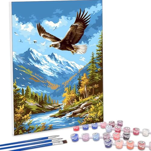 �������G ��, ���i �����h��G �L�b�g DIY ��l ���S�Ҍ��� �f�W�^�����G ��h�� Paint by Numbers for Adults �A�N�����y�C���g ���ʉ� �z�[�� �I�t�B�X���� �M�t�g ��H�| �|�p��h�� �G���� �C���e���A �Ǐ��� 50x