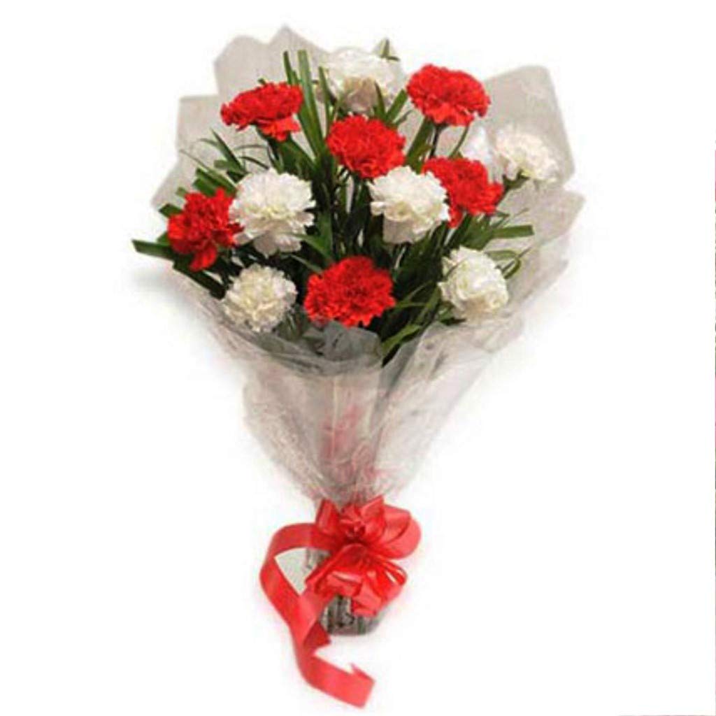 Fresh Flower Bunch of 10 Red & White Carnations in Cellophane Packing || TFM-image-2