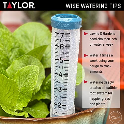 Taylor 5293501 7 Inch Capacity Easy To Read Break And Freeze Proof Flexible Silicone Rain Gauge thumb #4