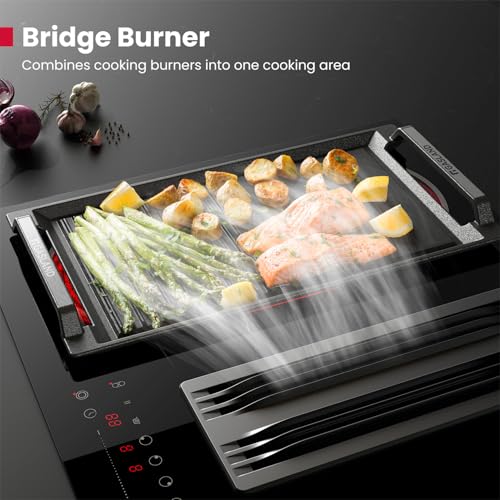 GASLAND Electric Downdraft Cooktop 31.5 Inch(80cm), 4 Burners Glass Radiant Stovetop 220V, 3-speed Max. 330 CFM Downdraft Exhaust