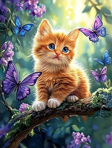 G L yCgoCio[  io[yCg, DIY G fW^G Lbg SҌ ȒP Paint by Numbers uVƃANG̋ h DIYG ItBX CeA rO, ւ̃Mtg 90x12