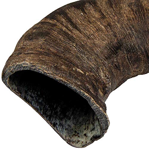 TX-27743 Buffalo Chewing Horn Large – Ansicht 3