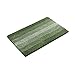 COSY HOMEER 24x17 Inch Bath Rugs Made of 100% Polyester Extra Soft and Non Slip Bathroom Mats Specialized in Machine Washable and Water Absorbent Shower Mat,Green