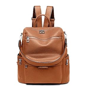 LING SHUIWEN Rugzak voor dames, portemonnee, waterdicht, leer, cabrio, multifunctioneel, grote rugzak, leren tas, lichtgewicht reisrugzak, schoudertassen, dagrugzak, schoudertas mode