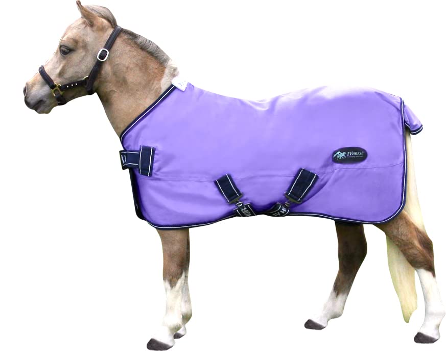 IV Horse Wee & Small Pony Turnout Rug Standard Neck No Fill (Blue, 3'0)
