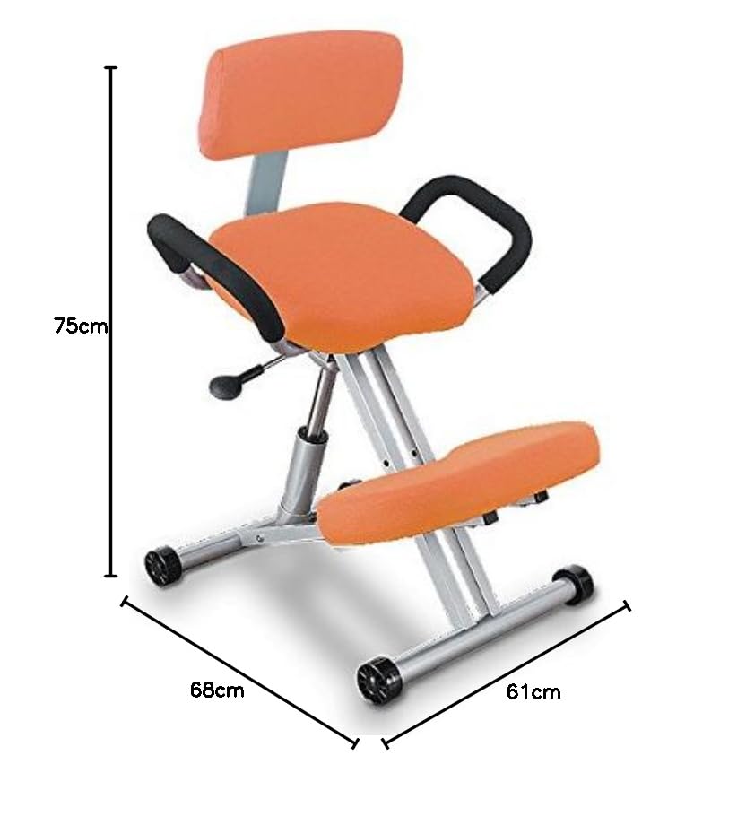 美品Remex レメックス 姿勢矯正RBC-G06AX ニーリング上位モデル Amazon