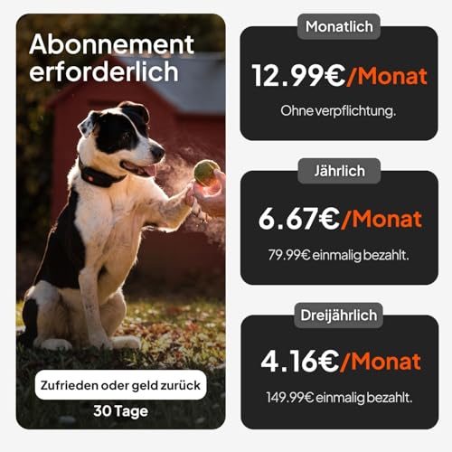 Weenect Hund XT - NEUES GPS-Halsband für Hunde | XL-Antenne | Wasserdicht | Hyperresistentes integriertes Julius-K9 Halsband Blau Abonnement erforderlich