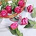 36 Pcs Hot Pink Roses Hot Pink Artificial Flowers Bulk Fake Rose Bouquet Bridal Artificial Roses with Stems Long Stem Realistic Faux Rose Flower for Wedding Bouquet Arrangement Centerpiece Party Decor