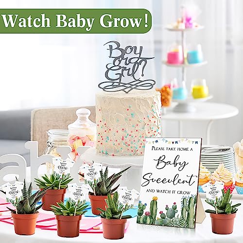 Newcotte Baby Shower Party Favors Watch Me Grow Succulent Tags Include 1 Piece Wooden Table Sign 50 Sets Succulent Plant Marker Baby Succulent Favors Baby Shower Decoration (Cactus) #TOP5