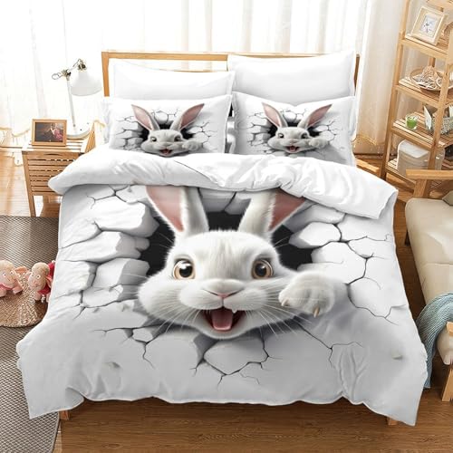 Parure de lit Terre vue nocturne en microfibre 200x200 pour ado