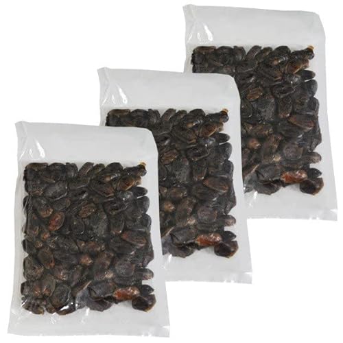 デーツ 無添加 1kg×3袋セット ナツメヤシ なつめやし 非遺伝子組み換え ドライフルーツ 砂糖不使用