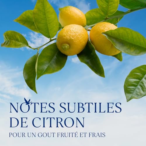 GREY GOOSE Le Citron, 40% vol., 70 cl/700 ml, Vodka premium aromatisée au citron, fabriquée en France à partir de vodka GREY GOOSE et d’essence naturelle de citron de Menton en France – vue 3