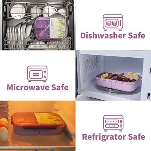 Itopor Lunch Box,Bento Box For Kids And Adults,Ideal Leak Proof Kids Lunch Box, No Bpas And No Chemical Dyes, Bento Lunch Box Made By Wheat Fiber Material(Purple) #TOP2