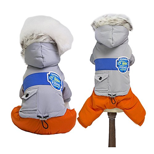 Best Snow Jacket For Dogs