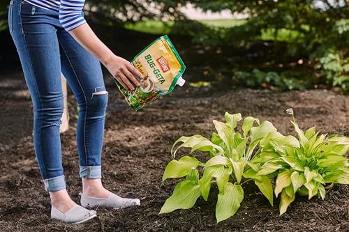 Image of Ortho Bug-Geta Snail & Slug Killer2 - Slug Bait and Pest Control Stays Effective After Rain or Sprinkling For Up to 3 Weeks, 6 lb.