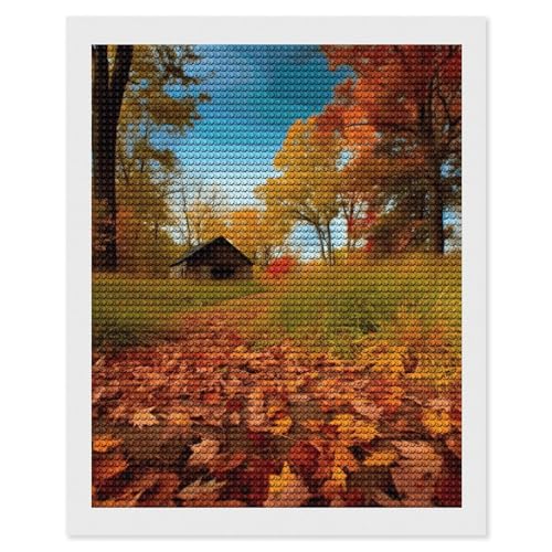 Diamond Painting adulte débutant 5D kit complet mosaïque diamant rond 40x50 cm loisir