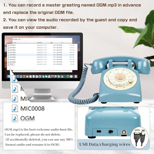 Image of Audio Guest Book Wedding Phone,32GB Memory Customized Audio Messages, Volume Adjustable, with Message Replay Feature, Suitable for All Kinds of Party(Blue+Golden Sign)