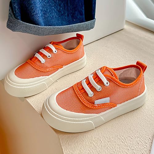 Light Up Shoes Toddler Children's Canvas Shoes Single Mesh Breathable Summer Casual Shoes for Girls A Shoes for Girls2