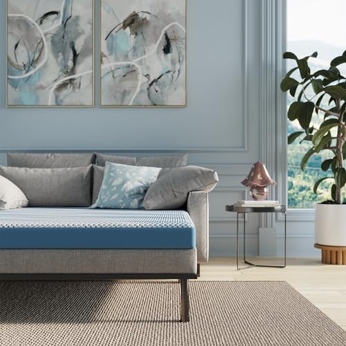 ROOST SLEEP Memory Foam Sofa Bed Mattress, 4.5-Inch – Cool Cloud Queen Size Replacement for Pull-Out Couch, Sleeper Sofa, Hide-A-Bed – Soft, Supportive Fold-Out Mattress