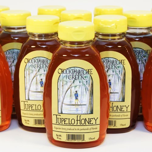Tupelo Honey 16oz. Bottle - Bulk Case of 12 - Premium from Sleeping Bear Farms Beekeepers in the Florida Apalachicola River Basin