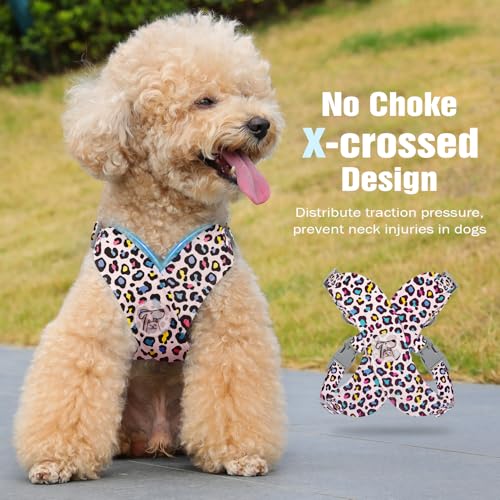 Pawaboo Hundegeschirr mit Hundeleine Set, X-Rahmen Verstellbares Anti Zug Anti-Erstickung Hund Brustgeschirr für Kleine, Mittelgroße Hunde & Welpen, Hundeweste mit Leine, XS, Rosa Leopard