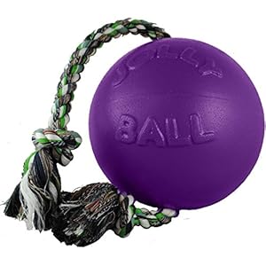 Romp-n-Roll Ball Dog Toy Color: Blueberry, Size: 8" Romp n Roll Ball Dog Toy Color Blueberry Size 8