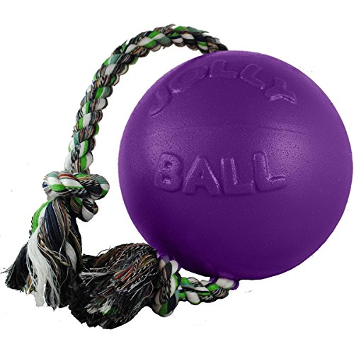 Romp-n-Roll-Ball-Dog-Toy-Color-Blueberry-Size-8 Romp n Roll Ball Dog Toy Color Blueberry Size 8