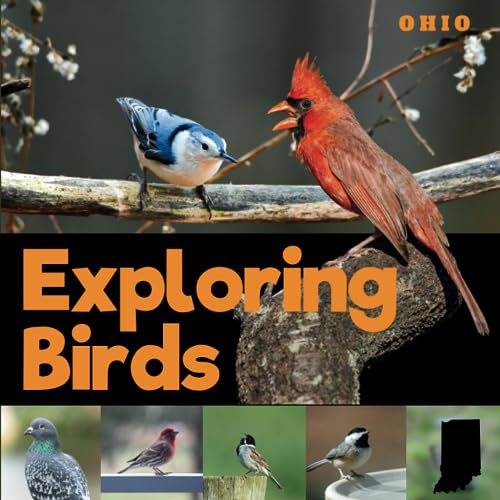 Exploring Birds of Ohio: A Simple Picture Guide Book for Beginner Birdwatching and Identification