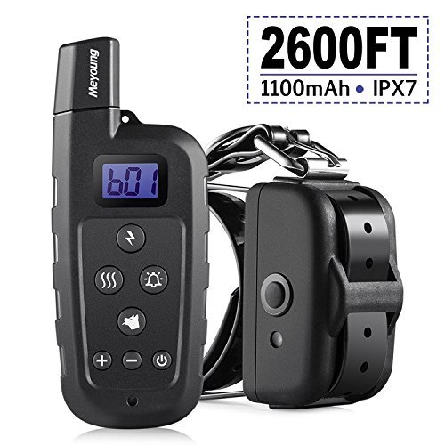 best dog remote trainer