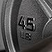 Titan Fitness 45 LB Cast Iron Olympic Plate, Sold Individually, Classic Weight Plate Design, Silver Hammer Finish