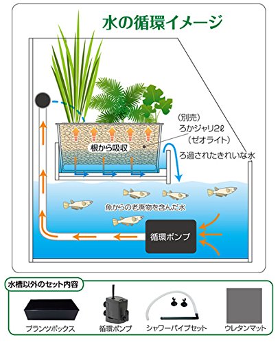 Amazon | 寿工芸 レグラスポニックス 300Hセット | Kotobuki | 飼育