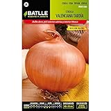 Semillas de Cebolla valenciana tardía sel. Fallera