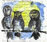 Búhos Barbagianna's Aloches