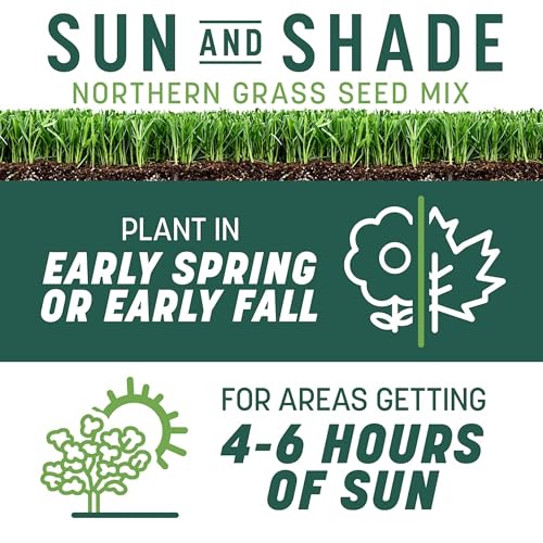 Grass Seed Blends For Sandy Soil And Beach Properties