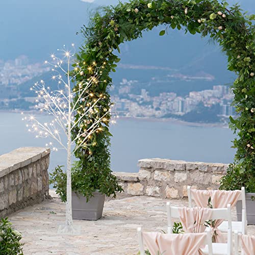 Vanthylit 6Ft 288Lt White Birch Tree With Fairy Lights Warm White Led Tree For Indoor And Outdoor #TOP5