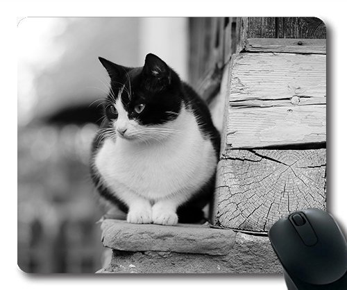 Tappetino Mouse Gaming Personalizzato – Cane Yorkshire Terrier – Antiscivolo, Lavabile – Dimensioni 22x18 Cm