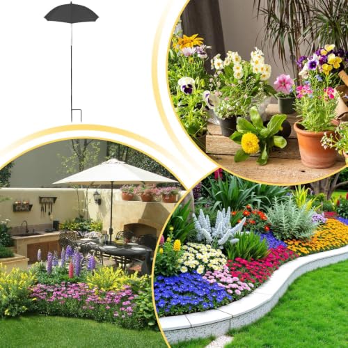 Sombrilla protectora plantas exterior para evitar hojas secas 4