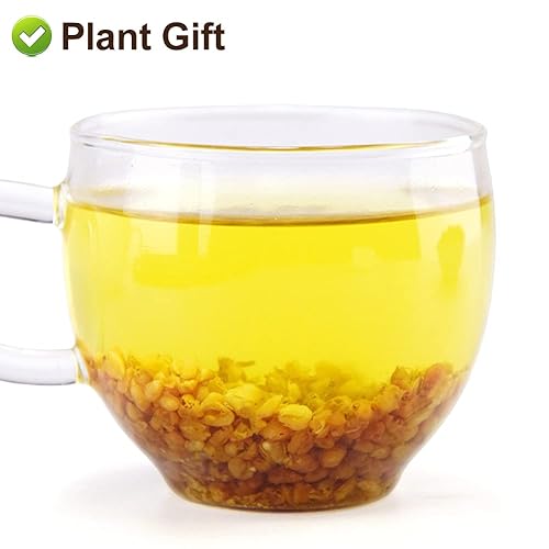 Miniatura 3 de Plant Gift Té de trigo sarraceno negro, té chino, té de hierbas de hojas sueltas, trigo sarraceno tartario, sin cafeína, 240 g8.46 oz
