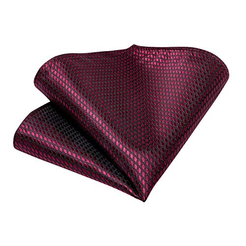 Image of DiBanGu Silk Ties for Men Necktie and Lapel Pin Brooch Set Formal Woven Paisley Plaid Striped Solid Tie Wedding Party
