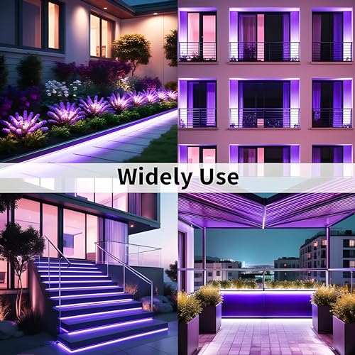 Image of 16.4 Feet LED Neon Strip Light | 12V Adapter, Waterproof IP65, Silicone Flexible Rope Light for Home Wall Decor & Gaming Room| Led Strip Lights | Neon Lights 5 Meter | (Purple)