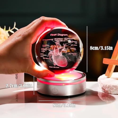 Image of Arikyrist Crystal 3D Human Heart 3.15 in. Ball Gifts for Men Women Doctor | Glass Sphere Etched Heart Model, Colorful Light Base, Graduation Keepsake, for Surgeon Cardiologist Anatomy Art Decor
