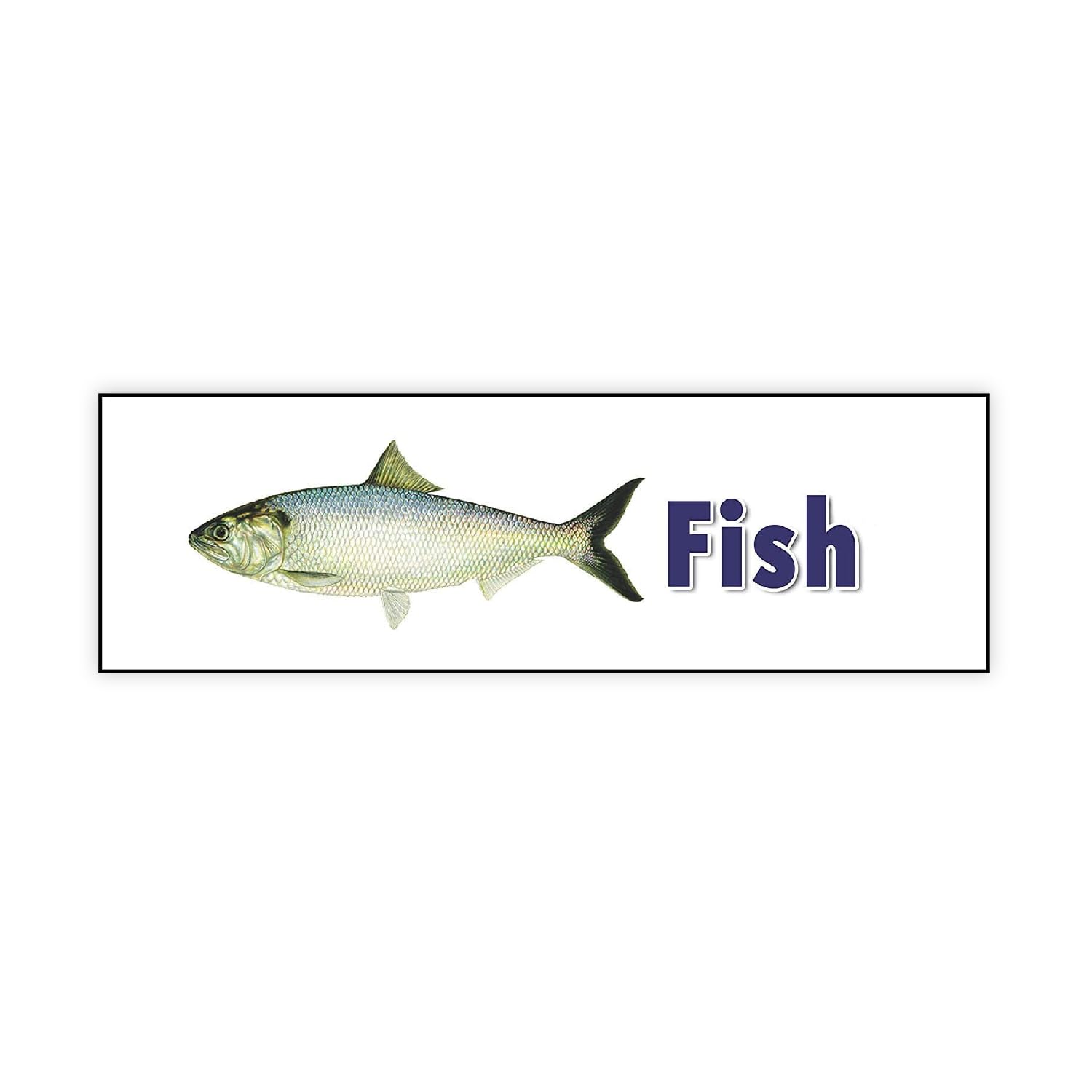 fingerz Pack of 3 Fish Market Wall Sticker Mall Shoping Kitchen Multi Colored High Resolution Image Decal (12 x 4 inch)