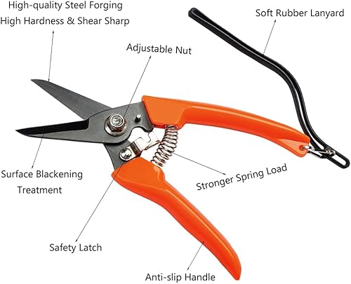 Miniatura 4 de Kit de herramientas de casco de herrador de caballo de 8 pulgadas, 5 herramientas profesionales de recorte, mini raspa de pezuña, cortador de