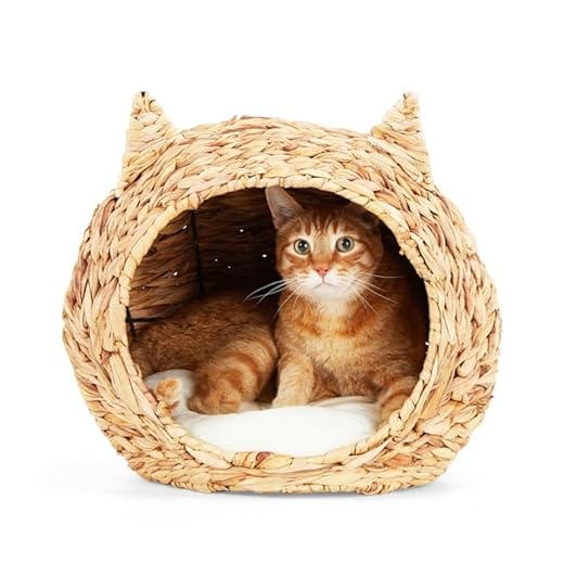 EveryYay Straw Cat Head Bed