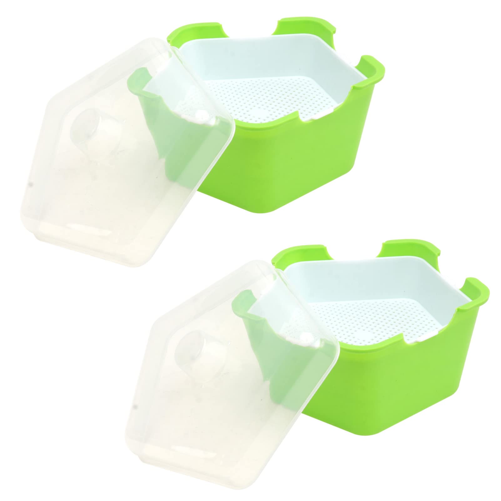 YARNOW 4 Ensembles Plateau De en Boîte Pentagonale Producteur D'agropyre Germer Pot De Pépinière De Germination Plateaux De Germination Kit De Germination PP Brancher Enfant Plante