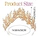 BARTOSI Gold Goddess Crown Snake Crowns and Tiaras Costume Headwear Hair Accessories for women