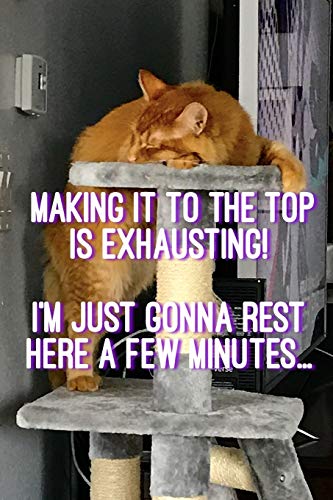 MAKING IT TO THE TOP IS EXHAUSTING!: I’M JUST GONNA REST HERE A FEW MINUTES...