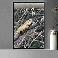 Framed Canvas Wall Art Reptile Contemporary Dramatic Hallway Iguana Multicolor Photography Reptiles - 16x24 inches
