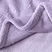 BORITAR Baby Blanket with Butterfly Design for Girls Ultra Soft Fleece Warm and Lightweight Blankets for Infant Toddler Newborn, 30x40 Inch, Purple